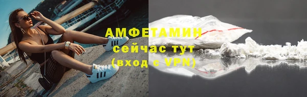 прущие грибы Армянск