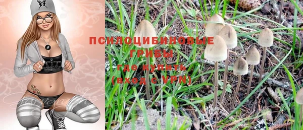 прущие грибы Армянск