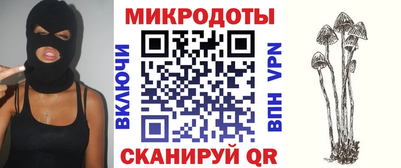 Галлюциногенные грибы MAGIC MUSHROOMS  закладка  Пущино 