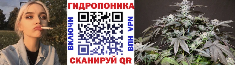 Шишки марихуана AK-47 Пущино